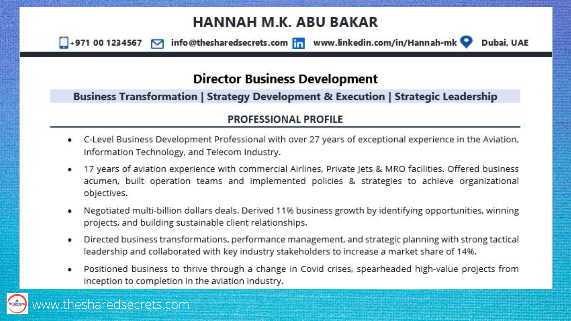 Business Development Director Professional Profile 1